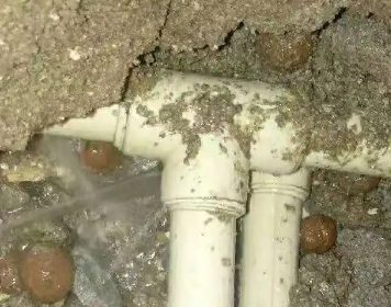 勉县测漏水多少钱