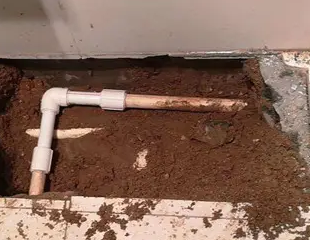 勉县测漏水哪家好