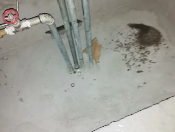 勉县卫生间测漏水价格明细