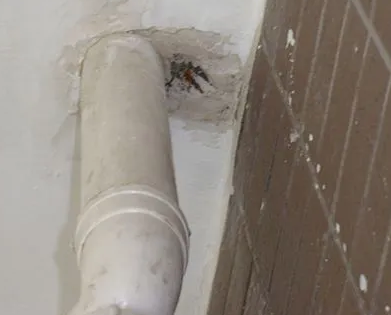 勉县漏水检测哪家好